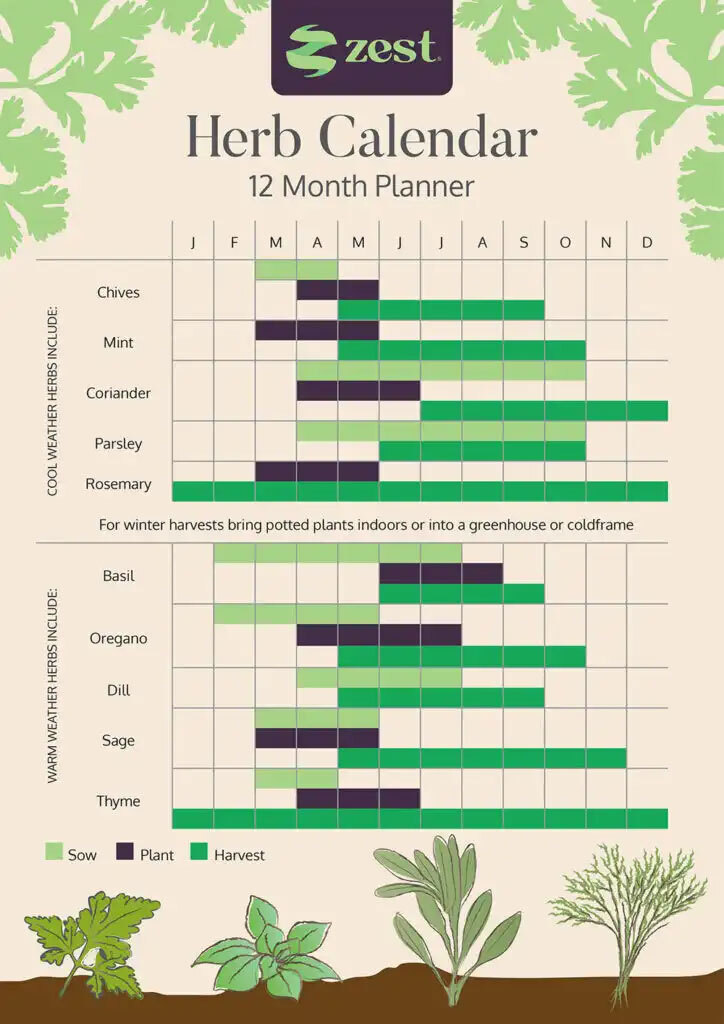herb-planner.jpg