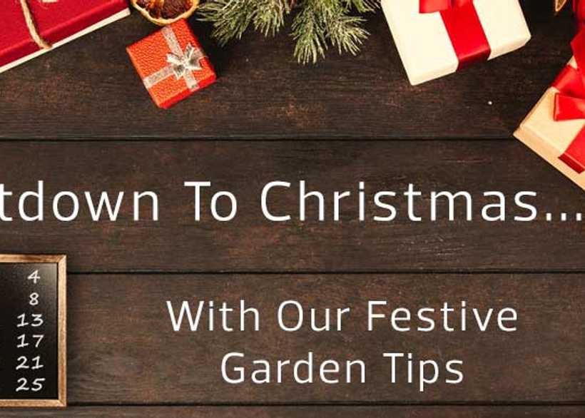 Countdown to Christmas with our Festive Garden Tips