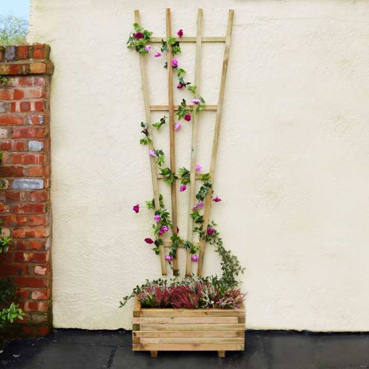 Fan Trellis