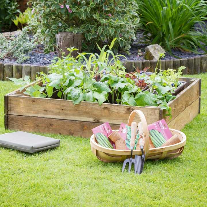 Raised Bed