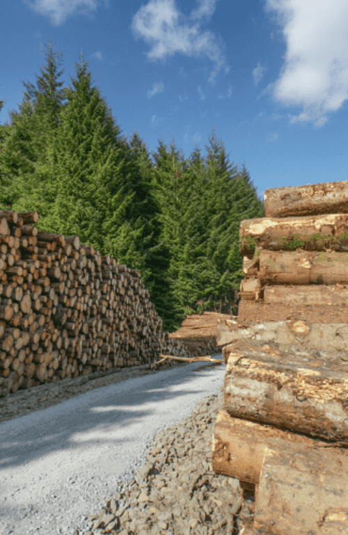 Logs grown sustainably