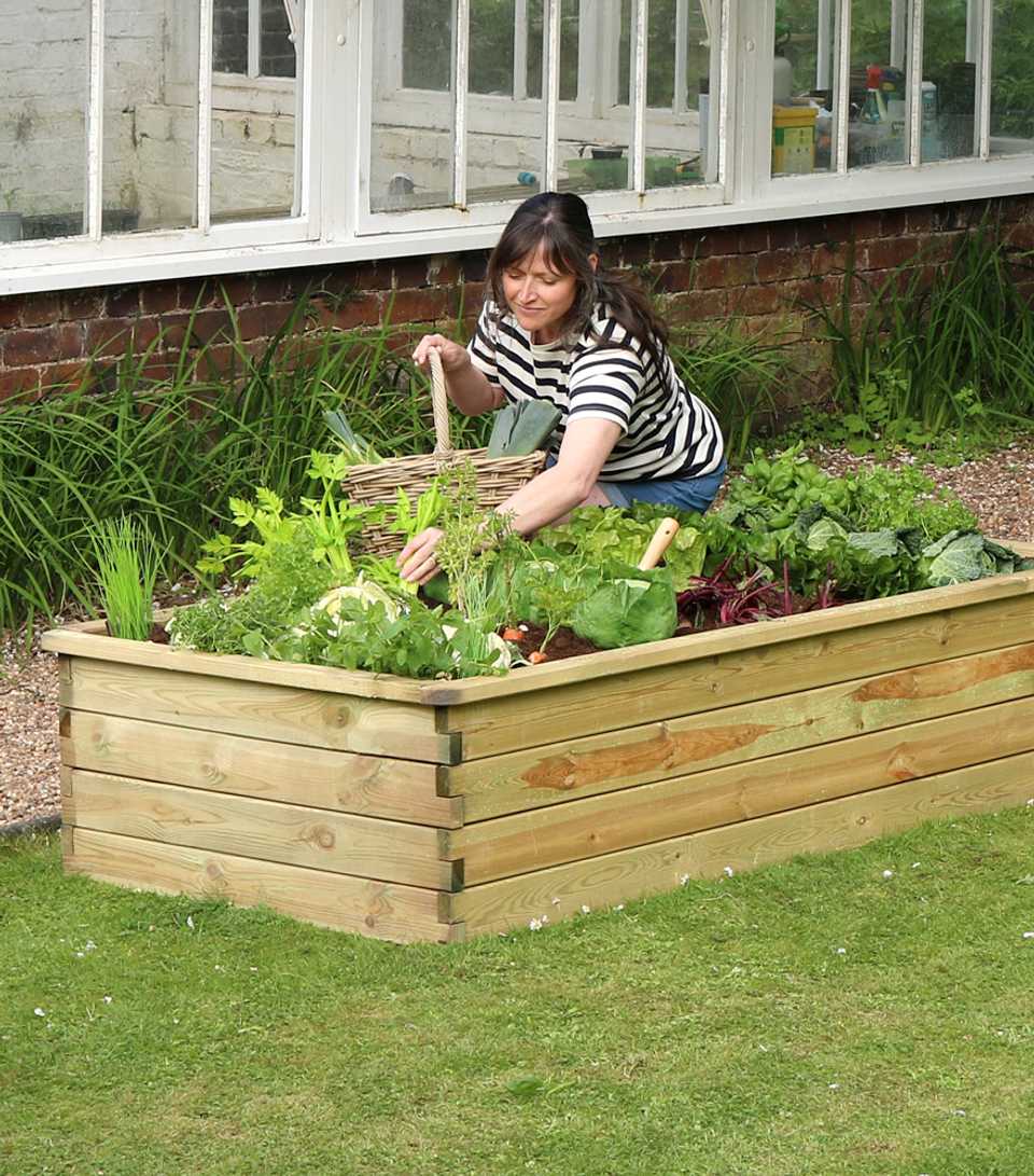 Raised Beds